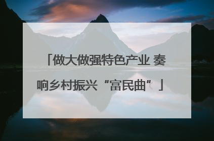 做大做强特色产业 奏响乡村振兴“富民曲”