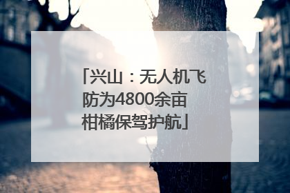 兴山：无人机飞防为4800余亩柑橘保驾护航