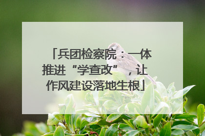 兵团检察院：一体推进“学查改”，让作风建设落地生根