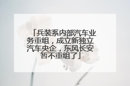 兵装系内部汽车业务重组，成立新独立汽车央企，东风长安暂不重组了