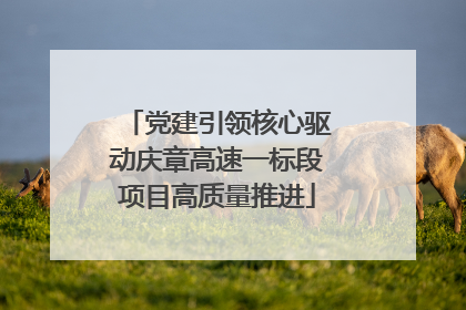 党建引领核心驱动庆章高速一标段项目高质量推进