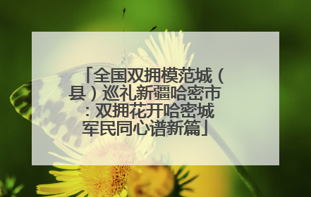 全国双拥模范城（县）巡礼新疆哈密市：双拥花开哈密城 军民同心谱新篇