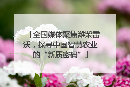 全国媒体聚焦潍柴雷沃，探寻中国智慧农业的“新质密码”