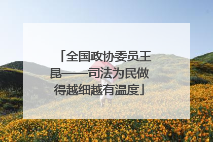 全国政协委员王昆——司法为民做得越细越有温度