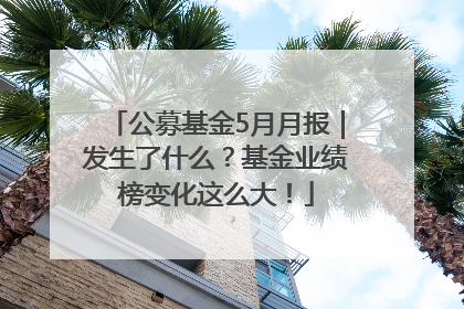 公募基金5月月报｜发生了什么？基金业绩榜变化这么大！