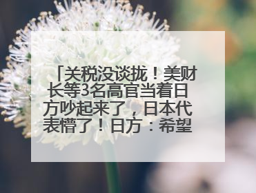 关税没谈拢！美财长等3名高官当着日方吵起来了，日本代表懵了！日方：希望实现石破茂与特朗普的会晤