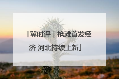 冀时评｜抢滩首发经济 河北持续上新