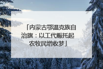 内蒙古鄂温克族自治旗：以工代赈托起农牧民增收梦
