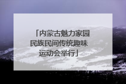 内蒙古魅力家园民族民间传统趣味运动会举行