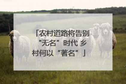 农村道路将告别“无名”时代 乡村何以“著名”