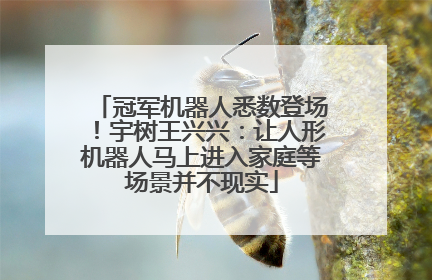 冠军机器人悉数登场！宇树王兴兴：让人形机器人马上进入家庭等场景并不现实