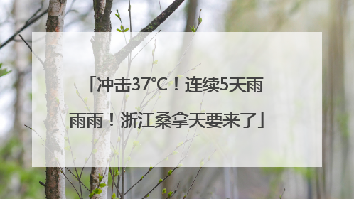 冲击37℃！连续5天雨雨雨！浙江桑拿天要来了