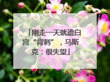 刚走一天就遭白宫“背刺”，马斯克：很失望