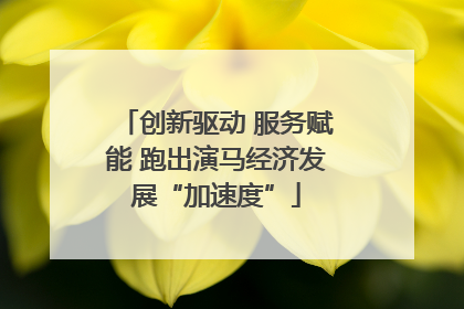 创新驱动 服务赋能 跑出演马经济发展“加速度”