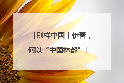 别样中国丨伊春，何以“中国林都”