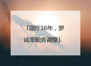 副厅16年，罗试坚职务调整