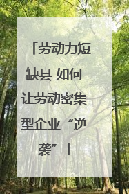 劳动力短缺县 如何让劳动密集型企业“逆袭”