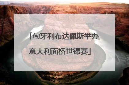 匈牙利布达佩斯举办意大利面桥世锦赛
