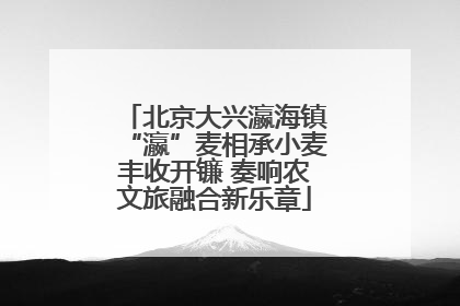 北京大兴瀛海镇“瀛”麦相承小麦丰收开镰 奏响农文旅融合新乐章
