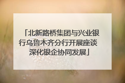 北新路桥集团与兴业银行乌鲁木齐分行开展座谈 深化银企协同发展