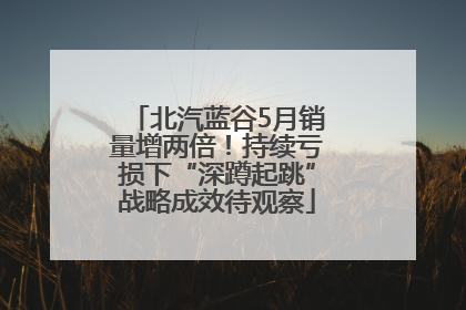 北汽蓝谷5月销量增两倍！持续亏损下“深蹲起跳”战略成效待观察