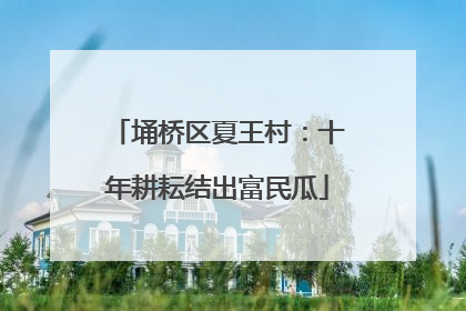 埇桥区夏王村：十年耕耘结出富民瓜