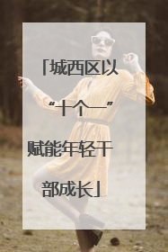 城西区以“十个一”赋能年轻干部成长