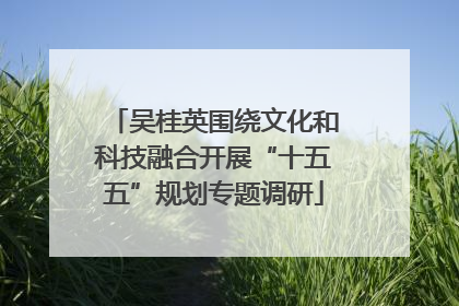 吴桂英围绕文化和科技融合开展“十五五”规划专题调研