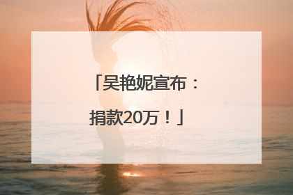 吴艳妮宣布：捐款20万！