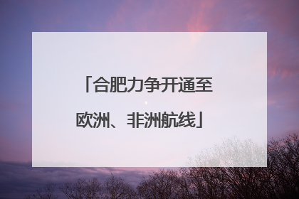 合肥力争开通至欧洲、非洲航线