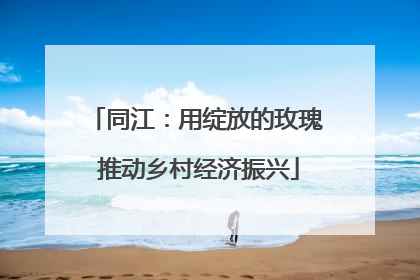 同江：用绽放的玫瑰 推动乡村经济振兴