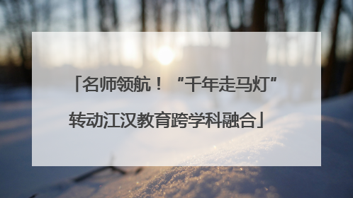 名师领航！“千年走马灯”转动江汉教育跨学科融合