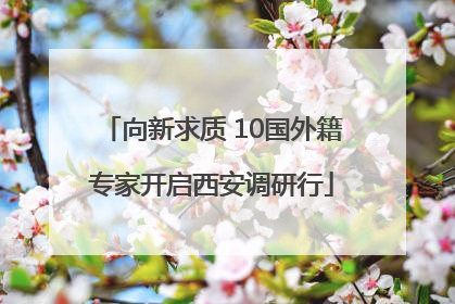 向新求质 10国外籍专家开启西安调研行