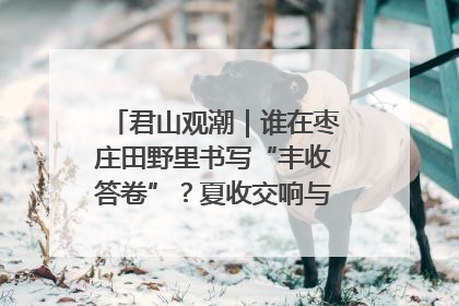 君山观潮｜谁在枣庄田野里书写“丰收答卷”？夏收交响与特色产业，共绘乡村振兴新图景
