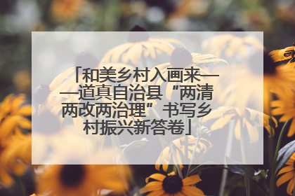 和美乡村入画来——道真自治县“两清两改两治理”书写乡村振兴新答卷
