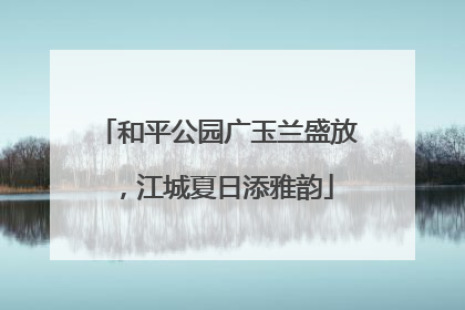 和平公园广玉兰盛放，江城夏日添雅韵