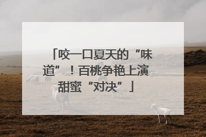 咬一口夏天的“味道”！百桃争艳上演甜蜜“对决”