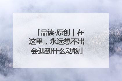 品读·原创｜在这里，永远想不出会遇到什么动物