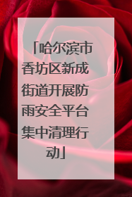 哈尔滨市香坊区新成街道开展防雨安全平台集中清理行动