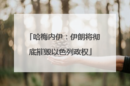 哈梅内伊：伊朗将彻底摧毁以色列政权