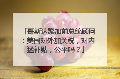 哥斯达黎加前总统顾问：美国对外加关税，对内猛补贴，公平吗？