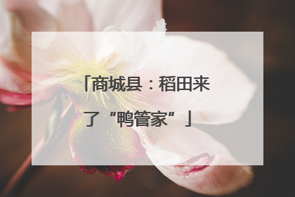 商城县：稻田来了“鸭管家”