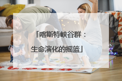 喀斯特峡谷群：生命演化的摇篮