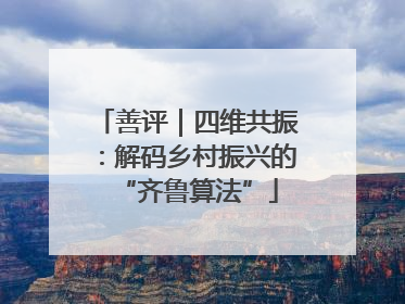 善评｜四维共振：解码乡村振兴的“齐鲁算法”