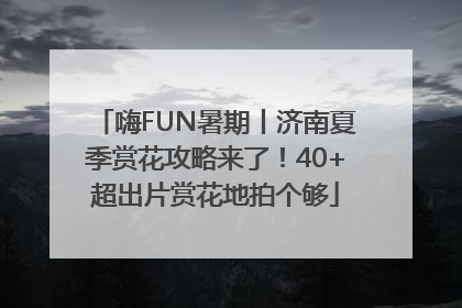 嗨FUN暑期丨济南夏季赏花攻略来了！40+超出片赏花地拍个够