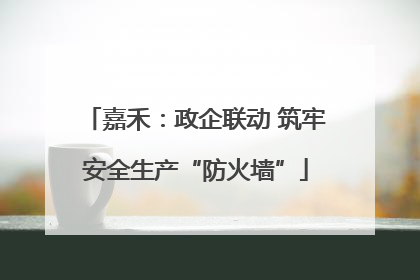 嘉禾：政企联动 筑牢安全生产“防火墙”