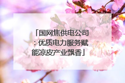 国网焦供电公司：优质电力服务赋能凉皮产业飘香