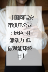 国网瑞安市供电公司：绿色同行添动力 低碳赋能环境日