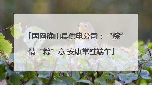 国网确山县供电公司：“粽”情“粽”意 安康常驻端午