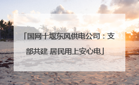 国网十堰东风供电公司：支部共建 居民用上安心电